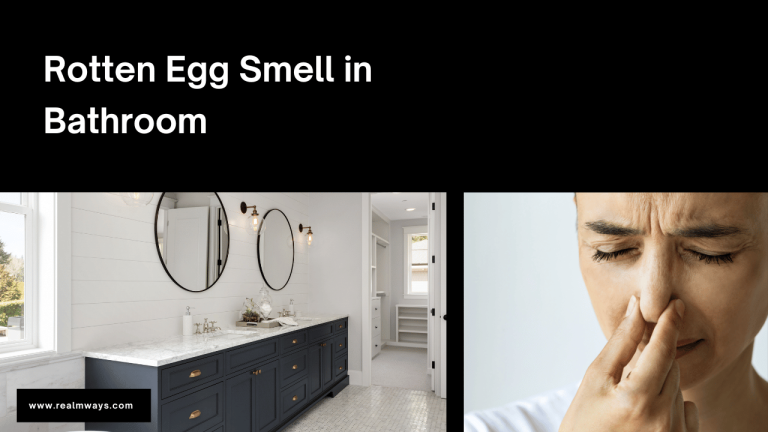 Rotten Egg Smell in Bathroom. What it is? (Tips & Tricks)