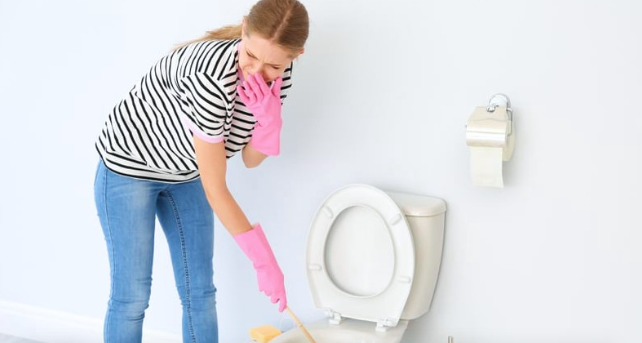 Understanding the Cause The Sulfur Smell in Your Bathroom