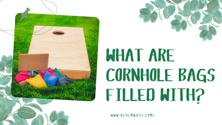 What are Cornhole Bags Filled With? [Explian What’s inside]